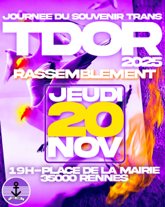 Affiche du TDOR 2025 de Rennes par Soleil (insta @soleil_drag) la date du jeudi 20 novembre apparaît en gros au centre de l'affiche, puis le lieu et l'horaire en dessous (19h place de la mairie de Rennes). Le fond est une photo noir et blanc de mouettes en feu.