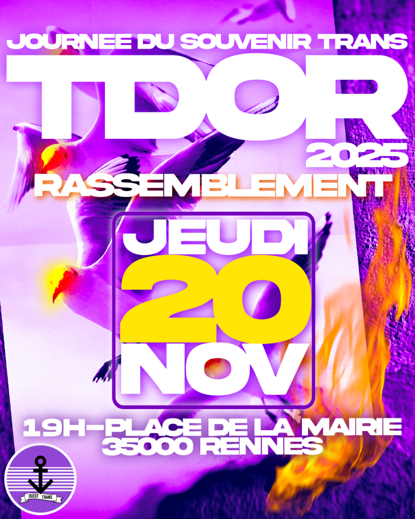 Affiche du TDOR 2025 de Rennes par Soleil (insta @soleil_drag)
la date du jeudi 20 novembre apparaît en gros au centre de l'affiche, puis le lieu et l'horaire en dessous (19h place de la mairie de Rennes). Le fond est une photo noir et blanc de mouettes en feu.